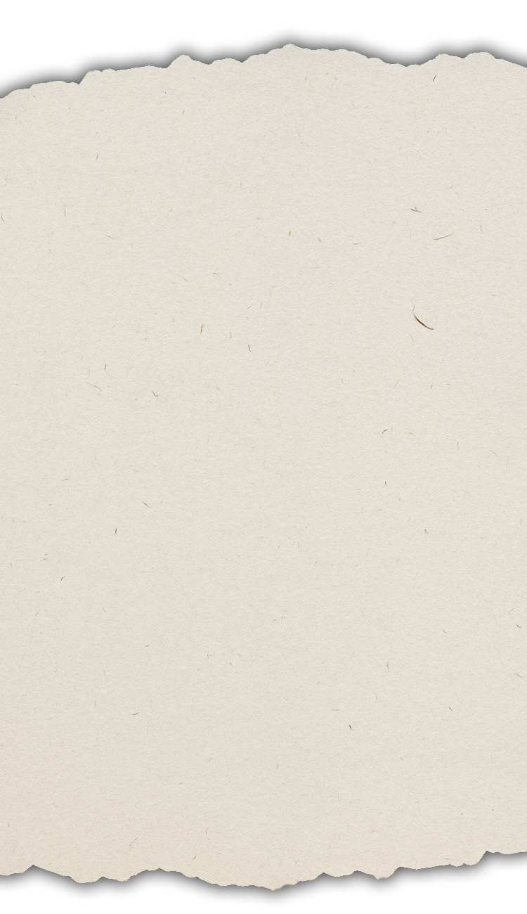 Experience youth Background